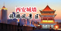 wwww.欧美性爱视频中国陕西-西安城墙旅游风景区
